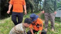 BPBD Kabupaten Sukabumi Mitigasi Bencana, Gandeng Warga Nangkakoneng Tanam Pohon