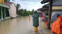 Sigap, BPBD Kabupaten Sukabumi Tinjau Banjir di Tegalbuleud