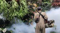 Dinkes Kota Sukabumi Gencarkan Fogging, Kasus DBD Mengintai