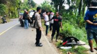 Sultan Asal Tanjungsari Alami Kecelakaan Tunggal