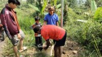 Mahasiswa KKN Nusa Putra Sukabumi Tanam 500 Pohon di Cikidang dan Bumisari, Cegah Longsor