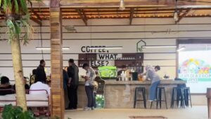 Ngopi di Kebon Awi Perbatasan Sukabumi, Tempat Nongkrong Bernuansa Alam