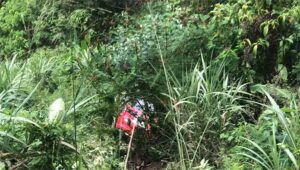 Mobil di Sukabumi Terjun ke Jurang 20 Meter, Diduga Sopir Mengantuk