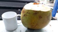 Air Kelapa Bakar, Minuman Tradisional dengan Segudang Khasiat