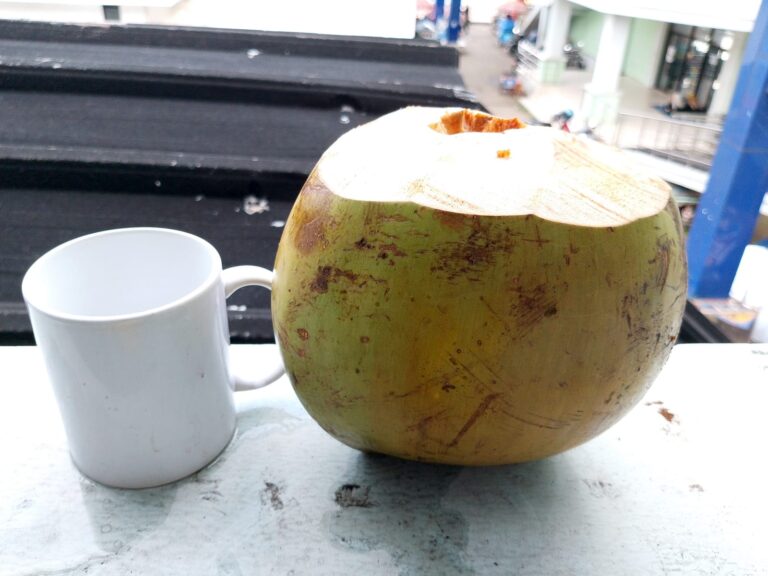 Air Kelapa
