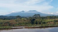 Gunung Gede Pangrango : Ada Legenda Harimau Putih Prabu Siliwangi