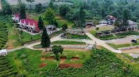 Healing di Alam Sukabumi : Villa Damar Pondok Halimun Tepatnya