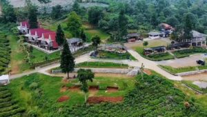 Healing di Alam Sukabumi : Villa Damar Pondok Halimun Tepatnya