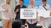 Dinas Peternakan Kabupaten Sukabumi Salurkan Bantuan 8 Sapi di Ciemas