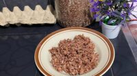 Menu Sarapan Sehat Penjaga Energi, Nasi Merah dengan Lauk Ringan