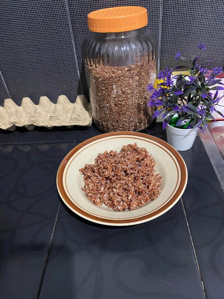 Nasi Merah