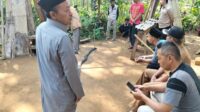 King Kobra vs Kakek Ocang, Keduanya Tewas Mengenaskan