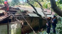 Angin Kencang Terjang Cibadak, Satu Rumah Rusak Tertimpa Pohon