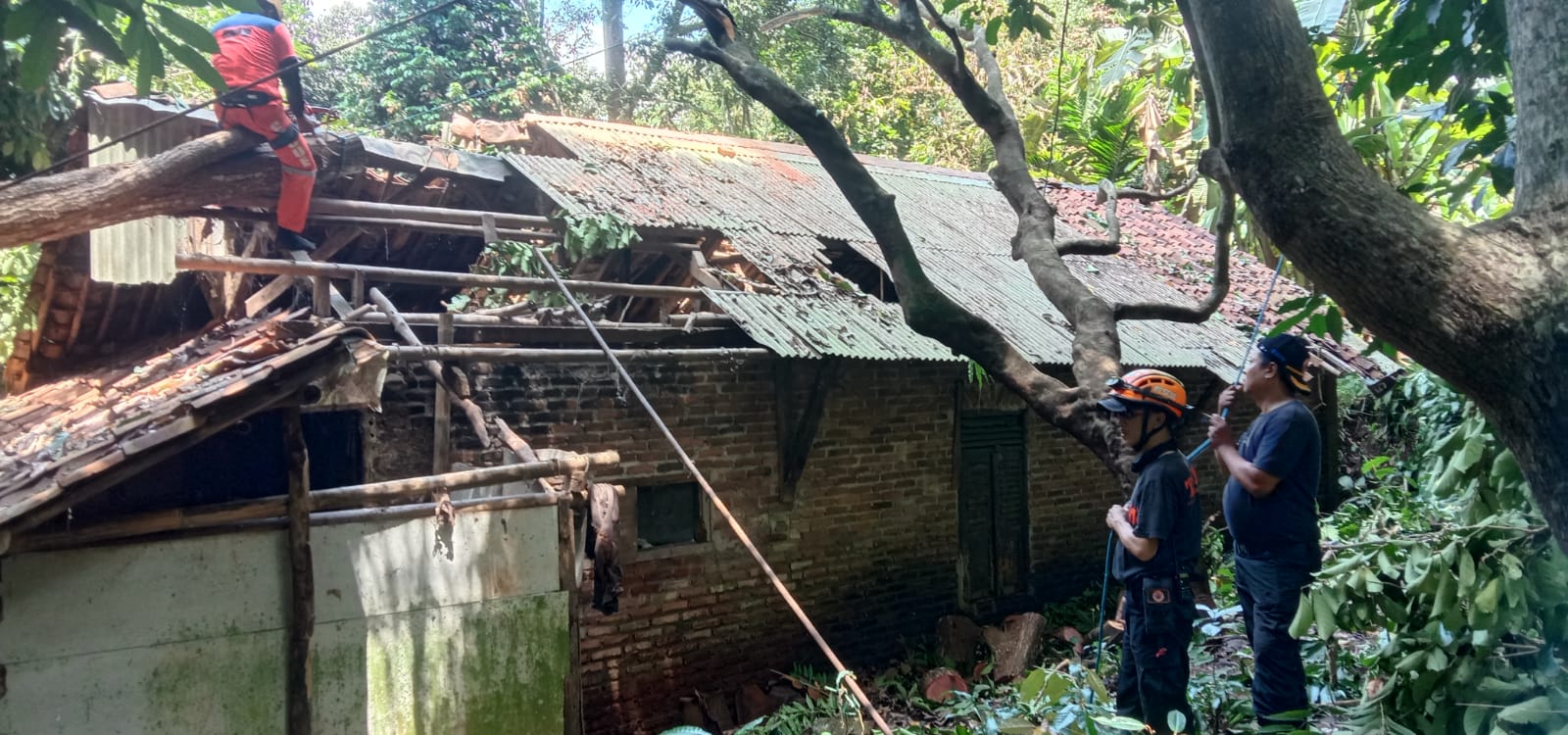POHO TUMBANG: Rumah warga di Kampung Benda, RT 001 RW 006, Desa Karangtengah, Kecamatan Cibadak, mengalami rusak sedang setelah tertimpa pohon suren yang tumbang, Kamis (25/12/2025). Ft: Ist