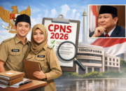 CPNS 2026 Akan Dibuka? Ini Kata KemenPANRB