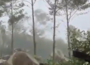 Viral di Medsos, Hutan di kawasan Gunung Salak Sukabumi Dirusak