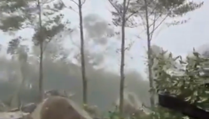 Viral di Medsos, Hutan di kawasan Gunung Salak Sukabumi Dirusak