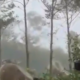 Kerusakan hutan di kawasan Gunung Salak, jalur pendakian Javana Resort via Desa Cidahu, Sukabumi, terlihat rusak parah. Pohon-pohon ditebang dan lahan terbuka meningkatkan risiko longsor serta banjir. Sumber Foto: Tangkapan Layar Video di akun @/yuddychrisnandi