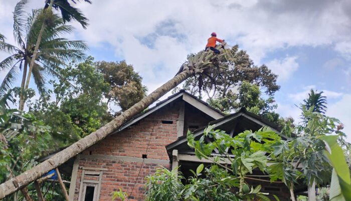 Rumah di Nagrak Sukabumi Tertimpa Pohon