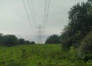 Setelah Dana CSR, Kini Transaksi Lahan Sutet PLN – PTPN Cibungur Disoal