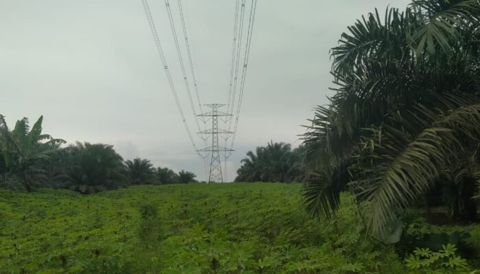 Setelah Dana CSR, Kini Transaksi Lahan Sutet PLN – PTPN Cibungur Disoal