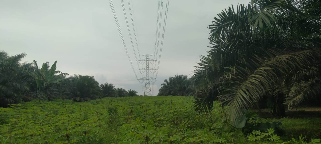 DISOAL: Saluran Udara Tegangan Ekstra Tinggi (SUTET) milik PLN yang melintasi wilayah Desa Ubrug, Kecamatan Warungkiara, Kabupaten Sukabumi disoal warga terkait dengan legalitas tanahnya. FOTO: KARIMULLAH//INILAHSUKABUMI.COM