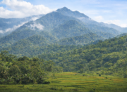 Warga Desa Sirnarasa Sukabumi Tolak Geothermal di Kaki Gunung Halimun