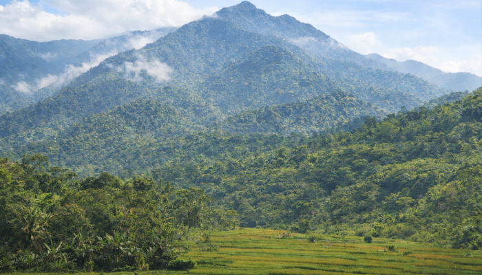 Warga Desa Sirnarasa Sukabumi Tolak Geothermal di Kaki Gunung Halimun