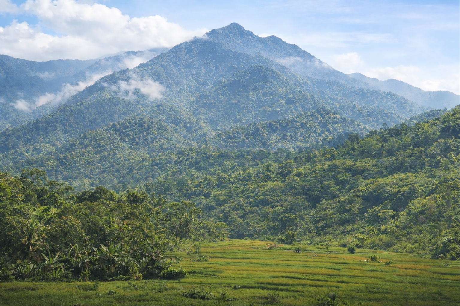 Warga Desa Sirnarasa, Kecamatan Cikakak menyatakan penolakan terhadap rencana proyek geothermal di kawasan Guung Halimun karena dinilai berpotensi mengancam lingkungan dan lahan pertanian. Foto: Net