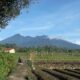 Cuaca Sukabumi hari ini 14 Februari 2026.