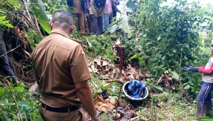 Geger di Simpenan Sukabumi, Warga Temukan Kerangka Manusia