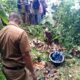 LOKASI PENEMUAN: Pegawai Desa dan warga meninjau lokasi penemuan kerangka manusia di kebun Kampung Cipari, Kecamatan Simpenan, Kabupaten Sukabumi, Senin (2/2/2026). Foto: Istimewa
