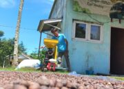 Pengembangan Kopi Berkelanjutan Tumbuh di Lereng Gunung Salak Sukabumi