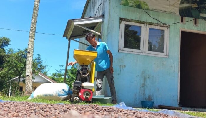 Pengembangan Kopi Berkelanjutan Tumbuh di Lereng Gunung Salak Sukabumi