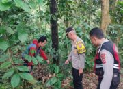 Bayi Laki-laki Lengkap dengan Tali Pusar, Ditemukan Warga di Kebun Bambu Parungkuda Sukabumi