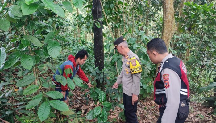 Bayi Laki-laki Lengkap dengan Tali Pusar, Ditemukan Warga di Kebun Bambu Parungkuda Sukabumi