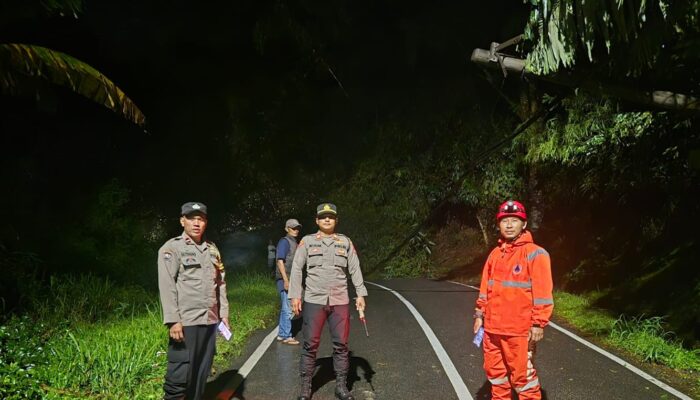Akses Sukabumi-Sagaranten Lumpuh Total Malam Ini ! Tiang Listrik dan Bambu Tutup Jalan di Nyalindung