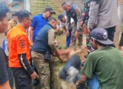 Tragis, Sedang Pasang Tenda Hajatan Pernikahan Anak, Pria di Sukabumi Dibacok ODGJ