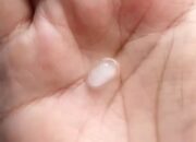 Warga Kandara Sukabumi Heboh, Butiran Es Jatuh di Tengah Hujan Deras dan Angin Kencang