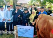 Bakrie Amanah Salurkan 14 Sapi Kurban di Kota dan Kabupaten Sukabumi, Bobotnya Ada yang Satu Ton