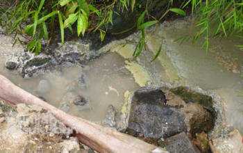 Dugaan pencemaran lingkungan akibat limbah dari aktivitas dapur MBG pada Satuan Pelayanan Pemenuhan Gizi (SPPG) mencuat di Desa Bantarkalong, Kecamatan Warungkiara, Kabupaten Sukabumi. Foto: Karimullah/INILAHSUKABUMI.COM