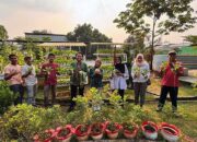 Pertamina Patra Niaga RJBB Kembangkan Urban Farming