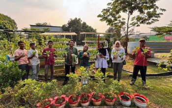 Pertamina Patra Niaga RJBB Kembangkan Urban Farming