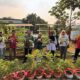 Pertamina Patra Niaga RJBB Kembangkan Urban Farming Berkelanjutan melalui Kebun Gizi Rawajaya