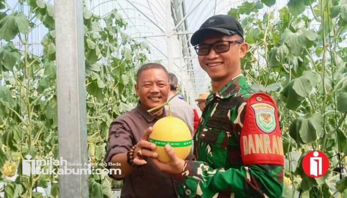 Wisata Petik Melon Premium Hadir di Cisolok, Sukabumi: Destinasi Agrowisata Baru yang Bikin Penasaran!