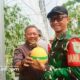 Wisata Petik Melon Premium Hadir di Cisolok, Sukabumi: Destinasi Agrowisata Baru yang Bikin Penasaran!