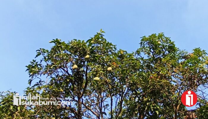 Sukabumi Cerah Seharian, Suhu Udara Bisa Tembus 34 Derajat: Cek Prakiraan Cuaca Hari Ini